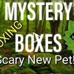 Live Animal Mystery Box UNBOXING : Scary New Pet MAS Exotics