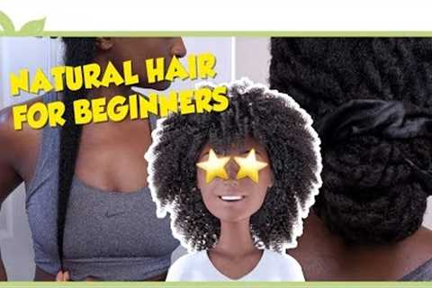 Natural Hair for BEGINNERS